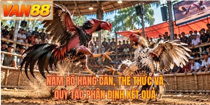 Nắm rõ hạng cân, thể thức và quy tắc phân định kết quả